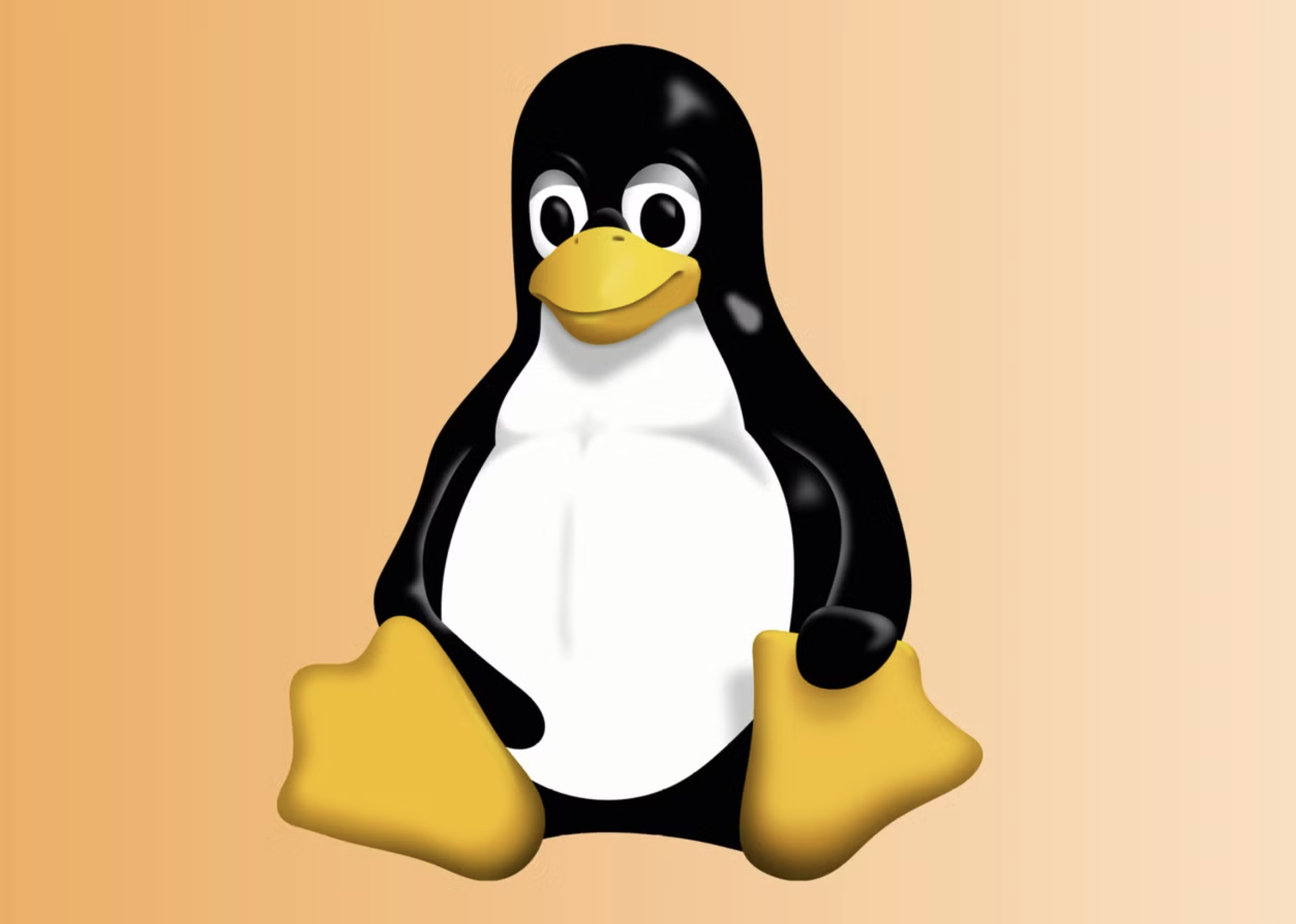 Linux Logo